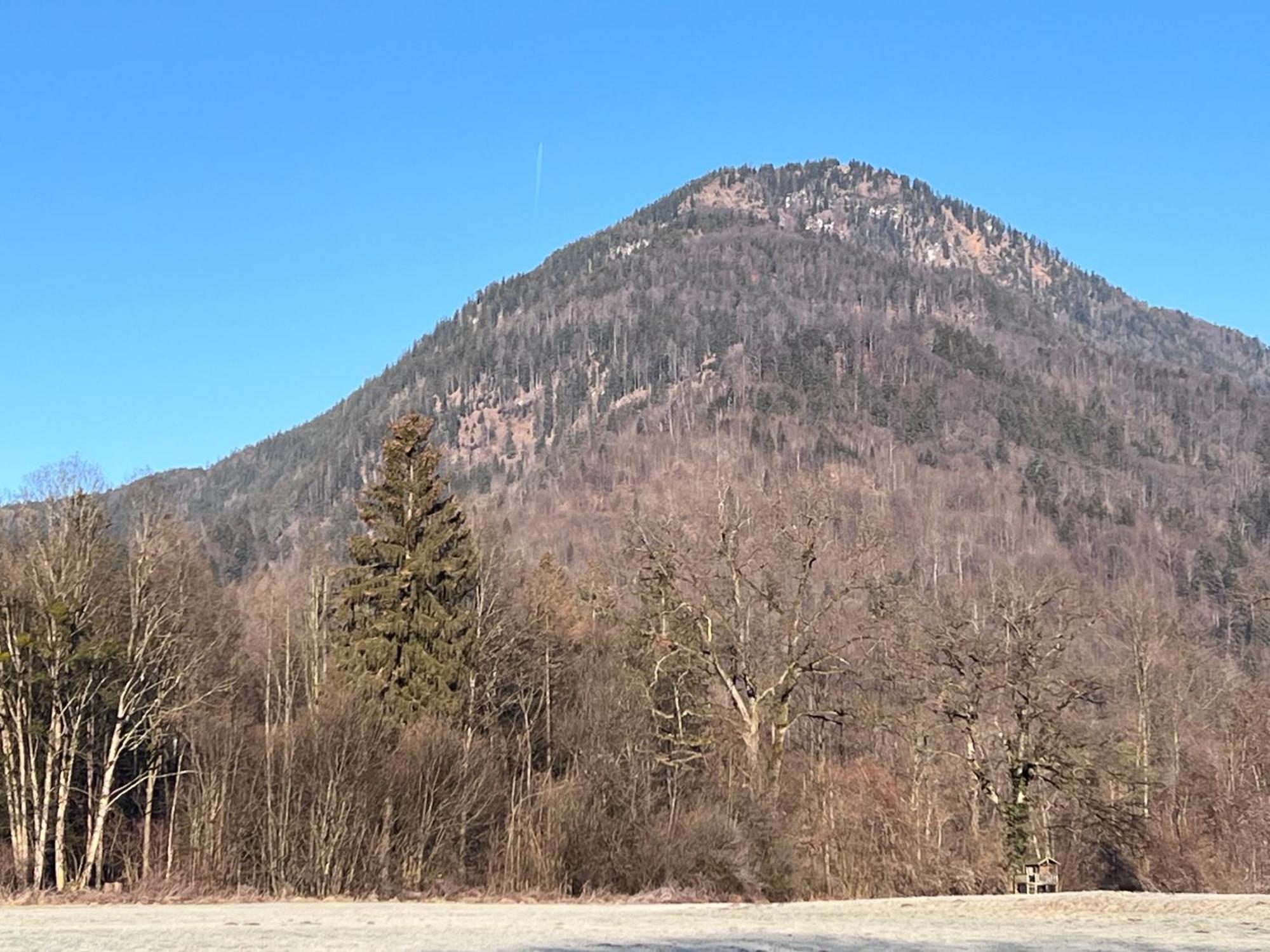 Ferienwohnung Bergwelten Oberaudorf Bagian luar foto