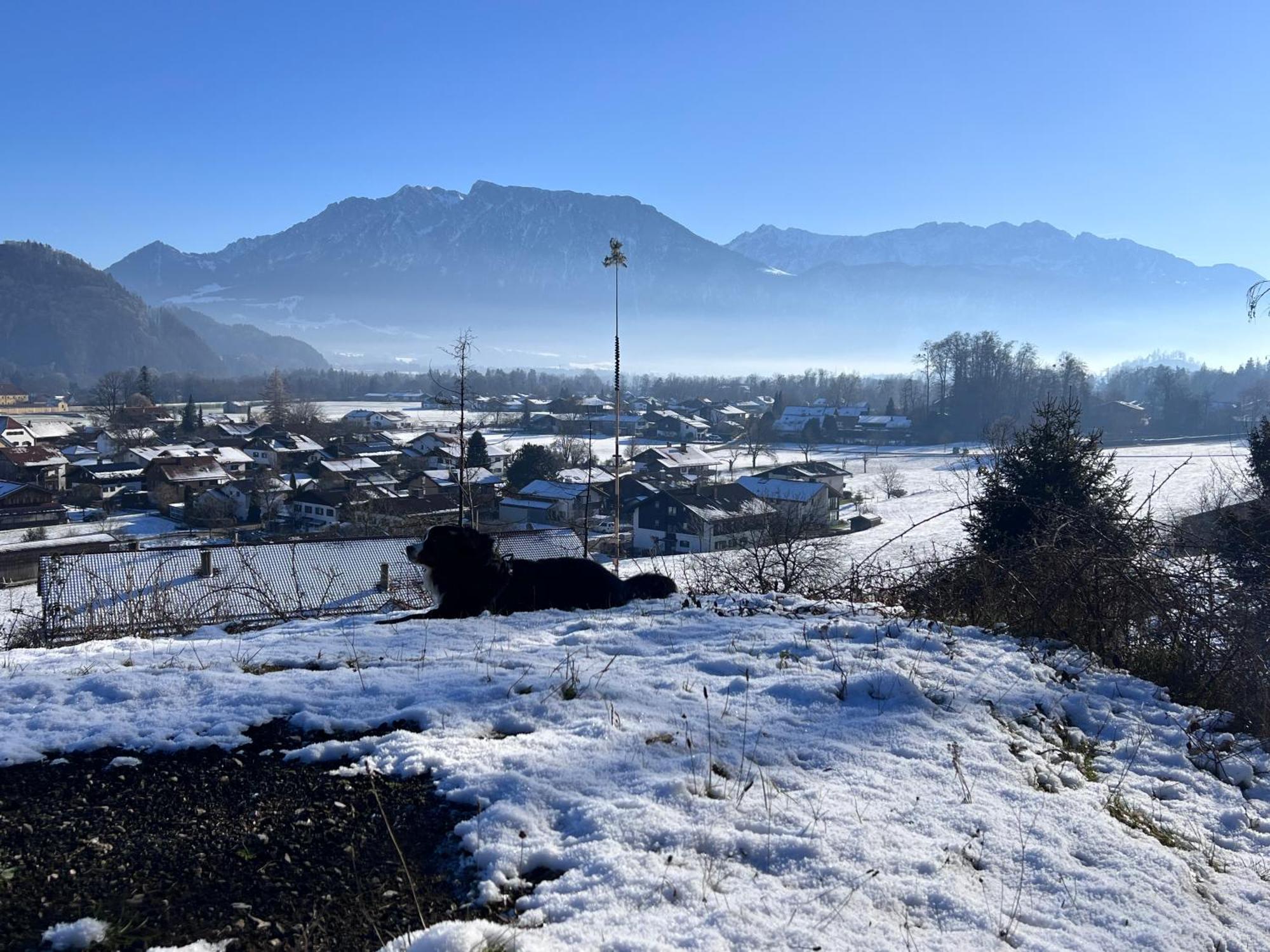 Ferienwohnung Bergwelten Oberaudorf Bagian luar foto